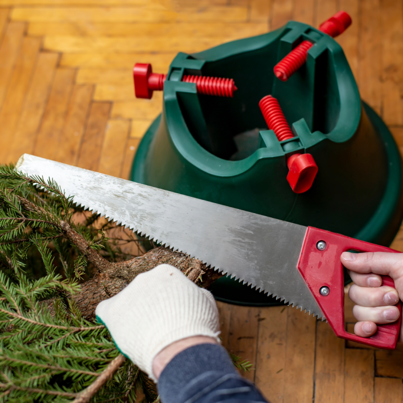 Christmas Tree Set up Our Christmas Tree Setup Service includes using an electric chainsaw to cut your tree, and position it place.