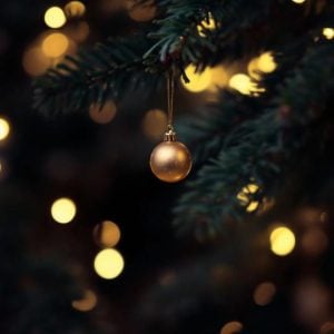 Sequoia Valley Farms Hero Christmas Banner with a tree with fairy lights.