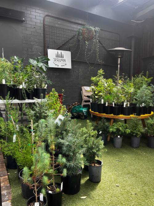 tulip time after dark market bowral What's on Southern Highlands: An enchanting evening at the Tulip Time After Dark Market in Bowral, a popular free event in the Southern Highlands.