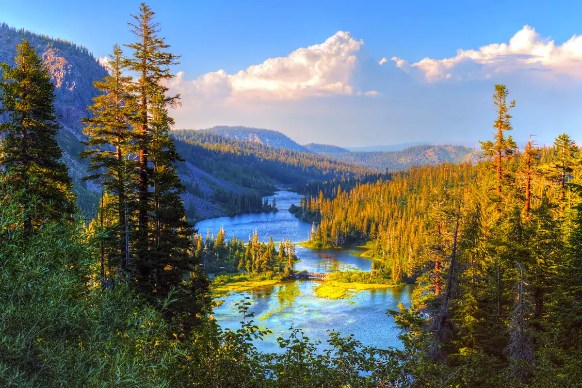 Douglas Fir conifer forest natural range Pacific Northwest alpine lake, landscape