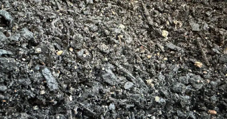 Quality growing media showing composted pine bark aggregates and orchid bark for cool-climate conifers, Sequoia Valley Farms