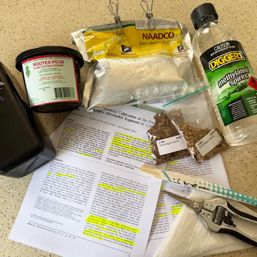 Nothofagus propagation materials with Chilean research paper, gibberellic acid GA3, rooting hormone and labelled southern beech seed